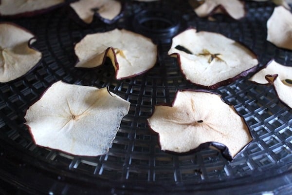 Dried whole apple slices on a black dehydrator tray.