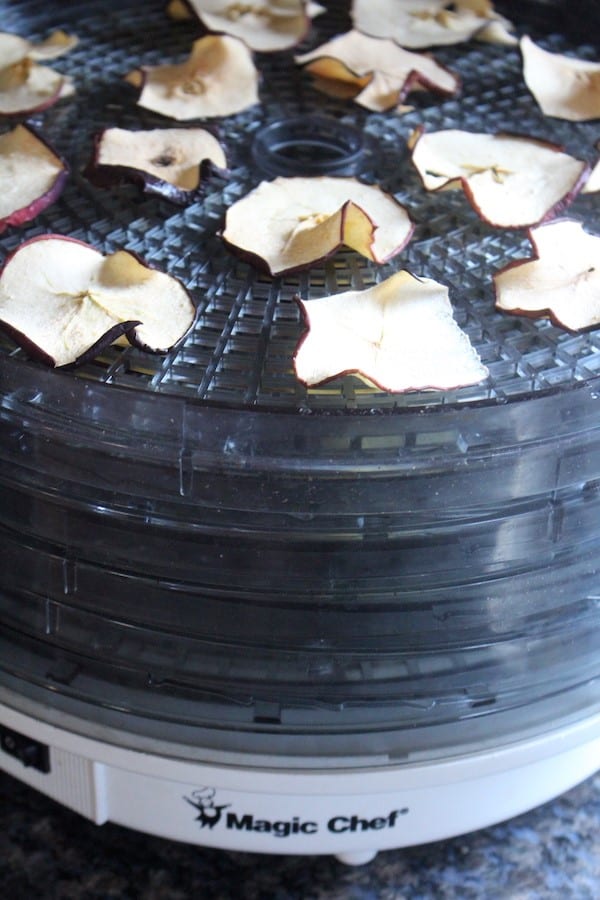 Dehydrator trays stacked upon each other on the Magic Chef food dehydrator with a layer of dried apples on the top tray.