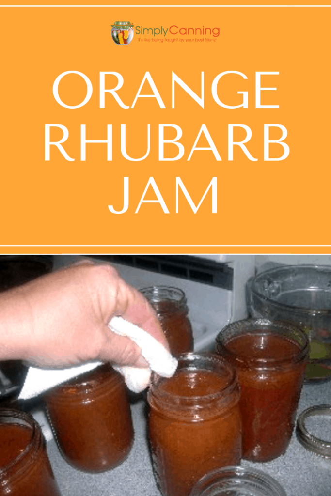 Orange rhubarb jam pin