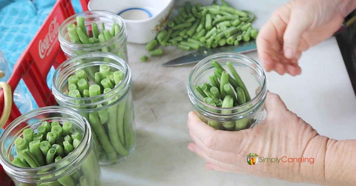 Packing Dilly Beans