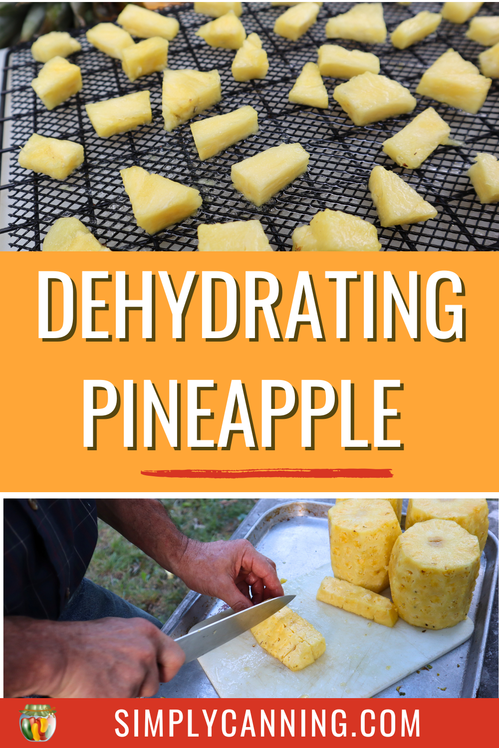 Drying pineapple pin image linking to save on pinterest.