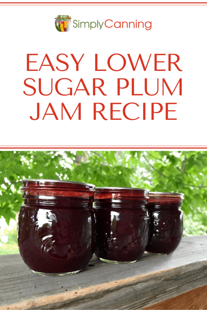 Easy Lower Sugar Plum Jam Recipe