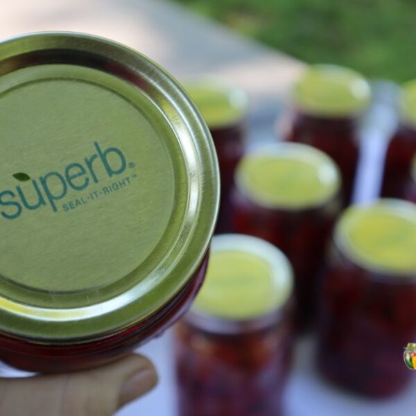 Close up of a Superb Seal it Right canning lid with jars of home canned beets in the background.