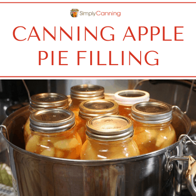 Quart jars filled with apple pie filling and sitting in the water bath canner.