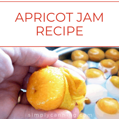 Apricot jam recipe link. image of peeling an apricot.