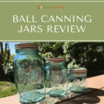 Three blue canning jars with Ball logos on them.