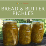 Three jars filled with yellowish green bread and butter pickles.