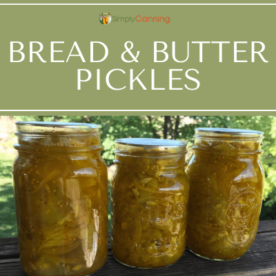 Bread and Butter Pickle Recipe