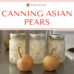 Three jars of Asian pears with fresh fruit sitting in front of the jars.