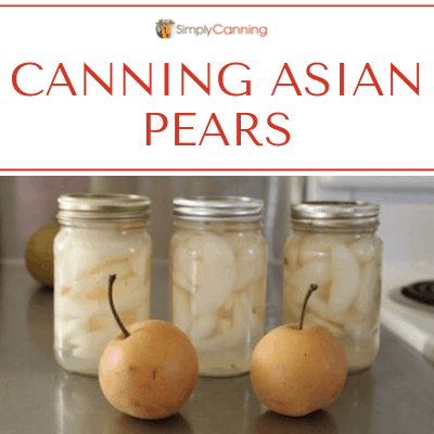Canning Asian Pears