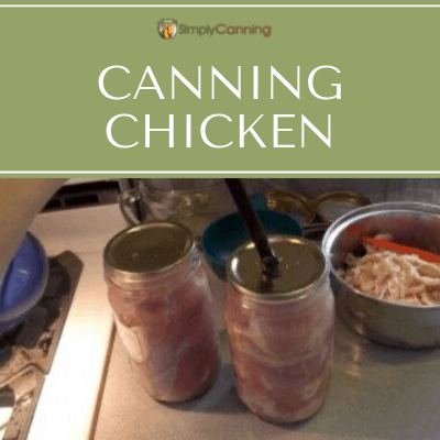 Placing flat lids on jars of raw chicken.