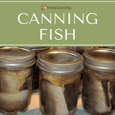 Canning Fish: Salmon, Blue, Mackerel, Trout…
