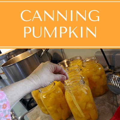 Canning Pumpkin