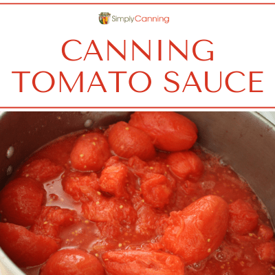 Cooking tomatoes down into a sauce.
