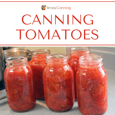 Clean quart canning jars filled with tomatoes.