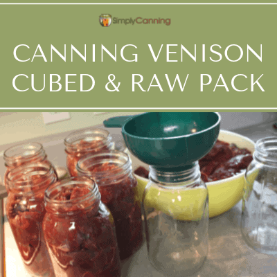 Packing raw cubes of venison into clean canning jars.