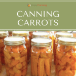 Jars packed with sliced and speared carrot pieces.