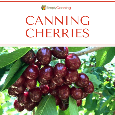 Canning Cherries: Great for Quick Cobblers, Pies, or Over Ice Cream!