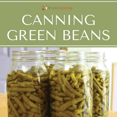 Quart jars filled with green bean pieces.