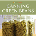 Quart jars filled with home canned green beans.