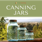 Three blue Ball canning jars in three different sizes sitting outdoors with the mountains behind them.