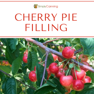 Cherry pie filling