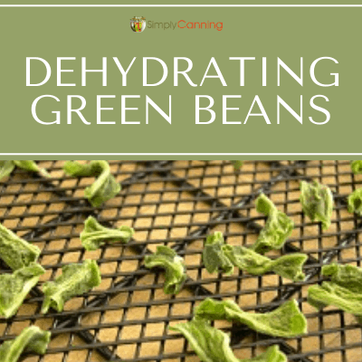 Dehydrating Green Beans