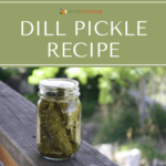 A pint jar of whole dill pickles sitting outside.