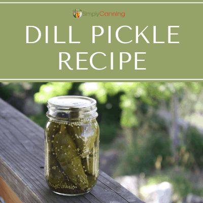 A pint jar of whole dill pickles sitting outside.