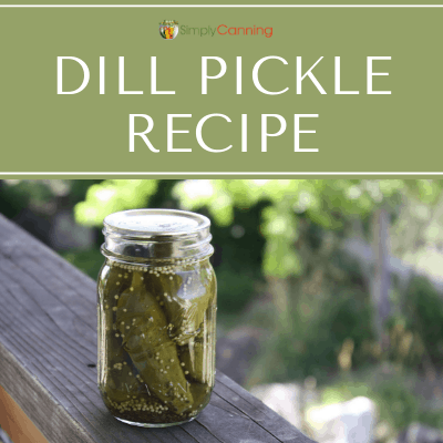 Dill Pickle Recipe