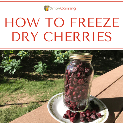 How to Freeze Dry Cherries