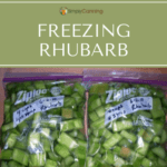 Sliced green rhubarb packed into labeled freezer bags.