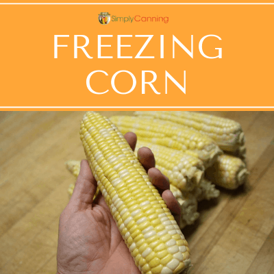 Freezing Corn