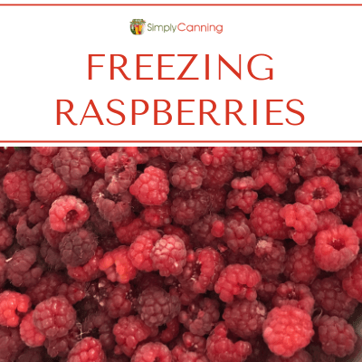 Freezing Raspberries