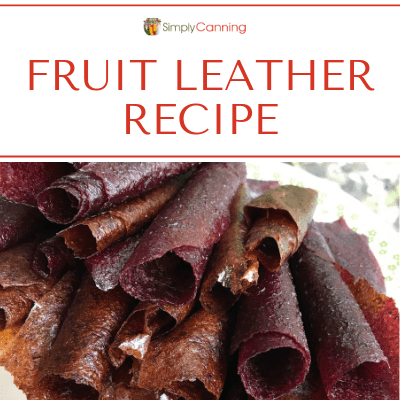 Fruit Leather Recipe