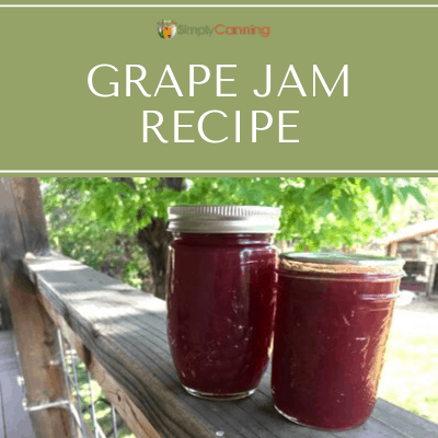 Grape Jam Recipe – Low Sugar and Full Sugar.