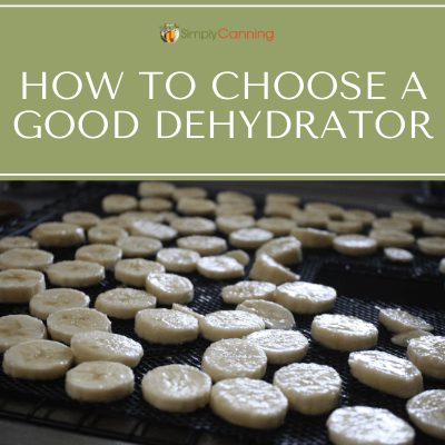 Banana slices spread over a food dehydrator tray.