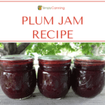Three small jars of deep red plum jam.