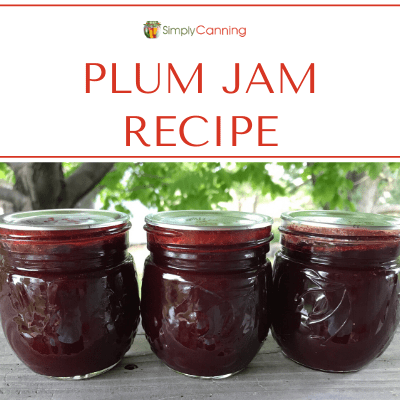 Three small jars of deep red plum jam.