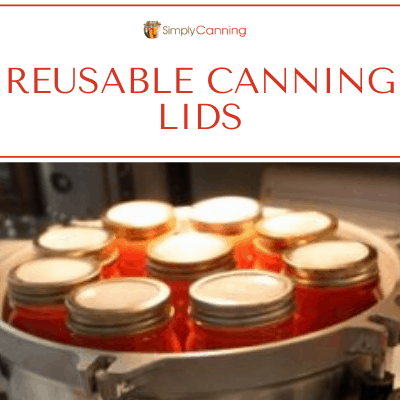 Reusable canning lids on jars that are stacked in the pressure canner.