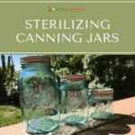 Blue quart, pint, and jelly jars lined up on the deck outside.