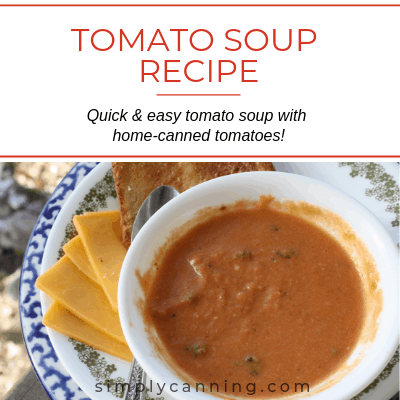 A bowl of creamy tomato soup with cheese and toast on the side.