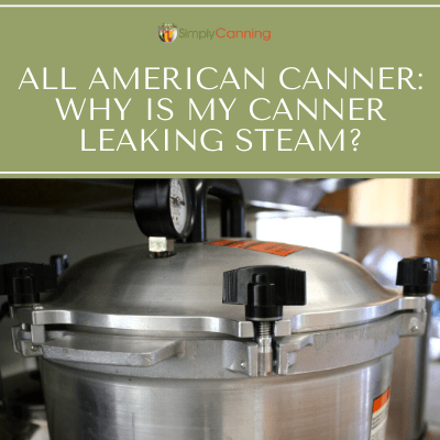 All American Canner: Why is My Canner Leaking Steam?
