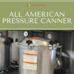 All American canner sitting on the stove.