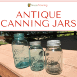 Blue and clear glass antique canning jars sitting outdoors.