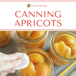 Wiping rims of jars filled with fresh apricots.