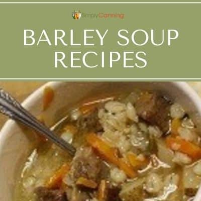 A bowl of rich beef barley soup.