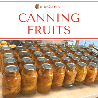 Canning fruits - Countertop filled with LOTS of canned fruit in jars.