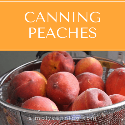 Peaches in a basket.  links to canning peaches article