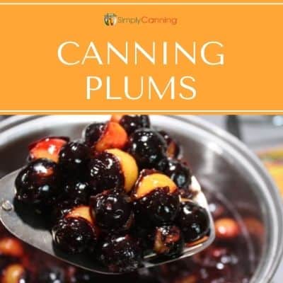 Lifting a spoonful of plums from the pot.